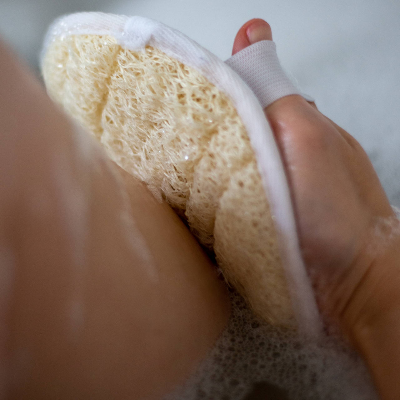 Croll & Denecke Loofah Pad